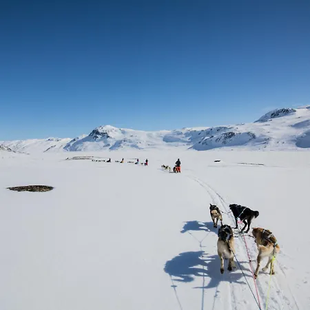 Stor Med 4 Soverom Og 2 Bad Apartment *