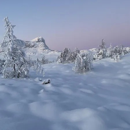 Stor Med 4 Soverom Og 2 Bad Beitostolen